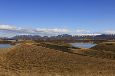 Myvatn, İzlanda 'nın kuzeyinde, Krafla volkanı yakınlarında aktif bir volkanik bölgede bulunan sığ bir göldür.