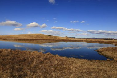 Myvatn, İzlanda 'nın kuzeyinde, Krafla volkanı yakınlarında aktif bir volkanik bölgede bulunan sığ bir göldür.