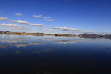 Myvatn, İzlanda 'nın kuzeyinde, Krafla volkanı yakınlarında aktif bir volkanik bölgede bulunan sığ bir göldür.
