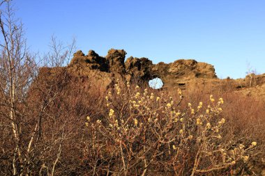 Dimmuborgir, İzlanda 'da Myvatn' ın doğusunda olağandışı şekilli lav tarlalarının oluşturduğu geniş bir alan.. 