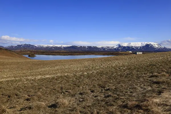 Myvatn, İzlanda 'nın kuzeyinde, Krafla volkanı yakınlarında aktif bir volkanik bölgede bulunan sığ bir göldür.