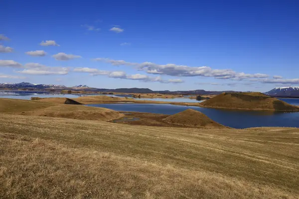 Myvatn, İzlanda 'nın kuzeyinde, Krafla volkanı yakınlarında aktif bir volkanik bölgede bulunan sığ bir göldür.