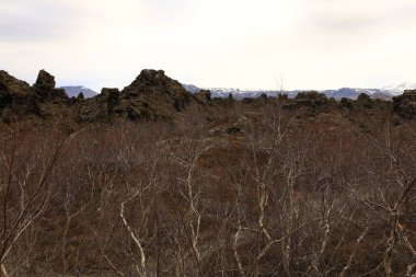 Dimmuborgir, İzlanda 'da Myvatn' ın doğusunda olağandışı şekilli lav tarlalarının oluşturduğu geniş bir alan..