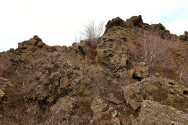 Dimmuborgir, İzlanda 'da Myvatn' ın doğusunda olağandışı şekilli lav tarlalarının oluşturduğu geniş bir alan..