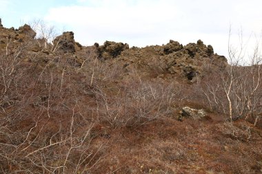 Dimmuborgir, İzlanda 'da Myvatn' ın doğusunda olağandışı şekilli lav tarlalarının oluşturduğu geniş bir alan..