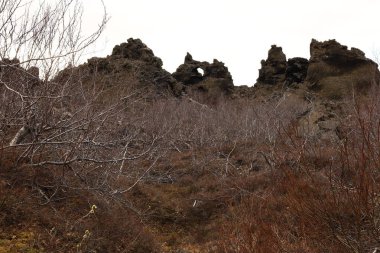 Dimmuborgir, İzlanda 'da Myvatn' ın doğusunda olağandışı şekilli lav tarlalarının oluşturduğu geniş bir alan..