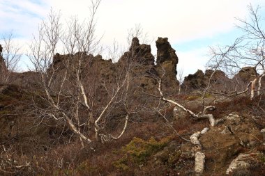 Dimmuborgir, İzlanda 'da Myvatn' ın doğusunda olağandışı şekilli lav tarlalarının oluşturduğu geniş bir alan..