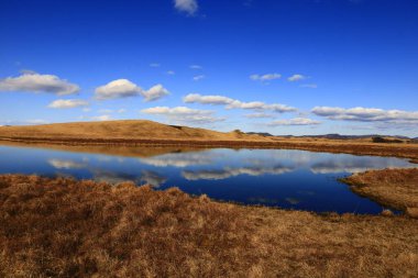 Myvatn, İzlanda 'nın kuzeyinde, Krafla volkanı yakınlarında aktif bir volkanik bölgede bulunan sığ bir göldür.