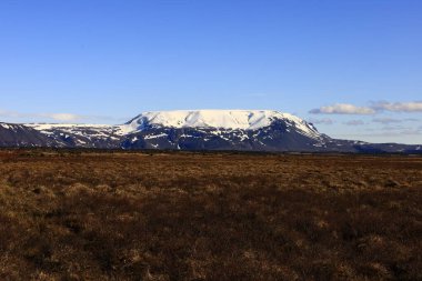 Myvatn, İzlanda 'nın kuzeyinde, Krafla volkanı yakınlarında aktif bir volkanik bölgede bulunan sığ bir göldür.