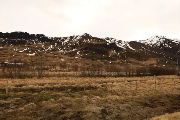 İzlanda 'nın Norurland eystrasındaki bir dağa bak.