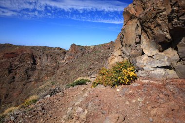 Caldera de Taburiente Ulusal Parkı, Kanarya Adaları 'nın La Palma adasında bulunan ulusal park.