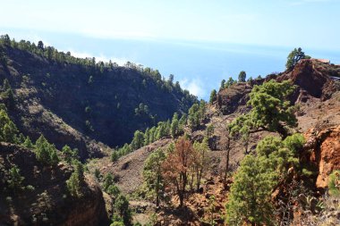Caldera de Taburiente Ulusal Parkı, Kanarya Adaları 'nın La Palma adasında bulunan ulusal park.