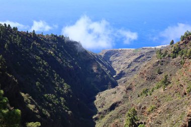 Caldera de Taburiente Ulusal Parkı, Kanarya Adaları 'nın La Palma adasında bulunan ulusal park.