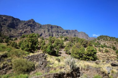 Caldera de Taburiente Ulusal Parkı, Kanarya Adaları 'nın La Palma adasında bulunan ulusal park.