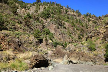 Caldera de Taburiente Ulusal Parkı, Kanarya Adaları 'nın La Palma adasında bulunan ulusal park.