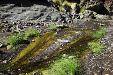 Caldera de Taburiente Ulusal Parkı, Kanarya Adaları 'nın La Palma adasında bulunan ulusal park.