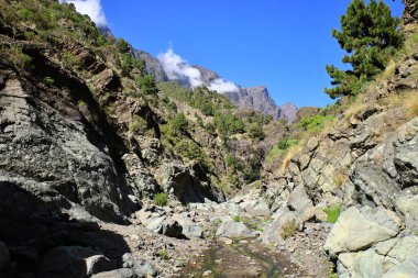 Caldera de Taburiente Ulusal Parkı, Kanarya Adaları 'nın La Palma adasında bulunan ulusal park.