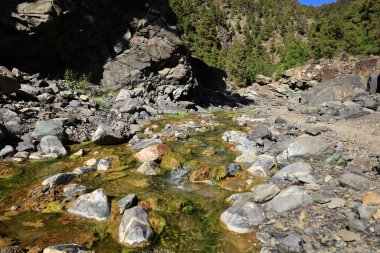 Caldera de Taburiente Ulusal Parkı, Kanarya Adaları 'nın La Palma adasında bulunan ulusal park.