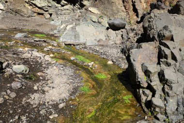 Caldera de Taburiente Ulusal Parkı, Kanarya Adaları 'nın La Palma adasında bulunan ulusal park.