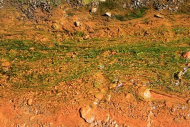 Caldera de Taburiente Ulusal Parkı, Kanarya Adaları 'nın La Palma adasında bulunan ulusal park.