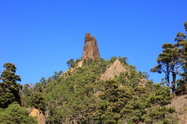 Caldera de Taburiente Ulusal Parkı, Kanarya Adaları 'nın La Palma adasında bulunan ulusal park.