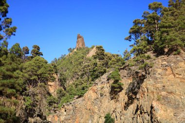 Caldera de Taburiente Ulusal Parkı, Kanarya Adaları 'nın La Palma adasında bulunan ulusal park.
