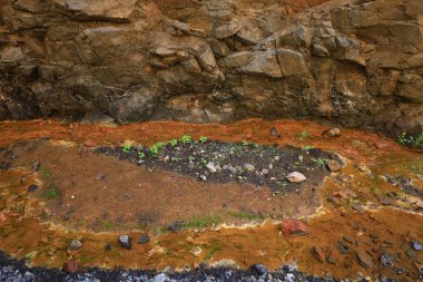 Caldera de Taburiente Ulusal Parkı, Kanarya Adaları 'nın La Palma adasında bulunan ulusal park.