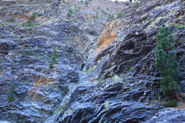 Caldera de Taburiente Ulusal Parkı, Kanarya Adaları 'nın La Palma adasında bulunan ulusal park.