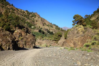 Caldera de Taburiente Ulusal Parkı, Kanarya Adaları 'nın La Palma adasında bulunan ulusal park.