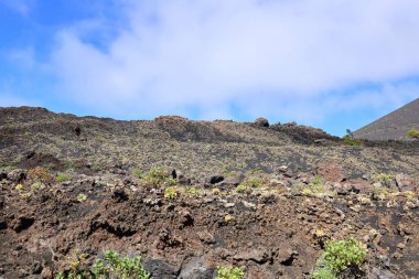 Teneguia, Kanarya Adaları 'ndaki Cumbre Vieja volkanının tek genetik kül konisidir.