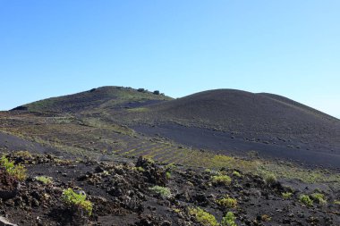 Teneguia, Kanarya Adaları 'ndaki Cumbre Vieja volkanının tek genetik kül konisidir.