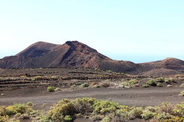 Teneguia, Kanarya Adaları 'ndaki Cumbre Vieja volkanının tek genetik kül konisidir.