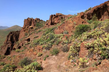 Dört Kapı alanı, Gran Canaria 'nın güneyindeki Telde belediyesinin bir mağara kompleksi..