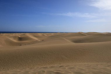 Maspalomas Kum tepeleri, Kanarya Adaları 'nda, Las Palmas Eyaleti' nin Gran Kanarya Adası 'nın güney kıyısında yer alan kum tepeleridir.