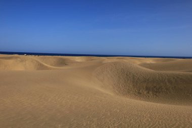 Maspalomas Kum tepeleri, Kanarya Adaları 'nda, Las Palmas Eyaleti' nin Gran Kanarya Adası 'nın güney kıyısında yer alan kum tepeleridir.
