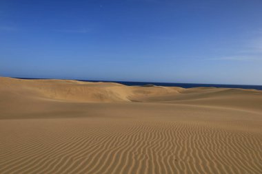 Maspalomas Kum tepeleri, Kanarya Adaları 'nda, Las Palmas Eyaleti' nin Gran Kanarya Adası 'nın güney kıyısında yer alan kum tepeleridir.
