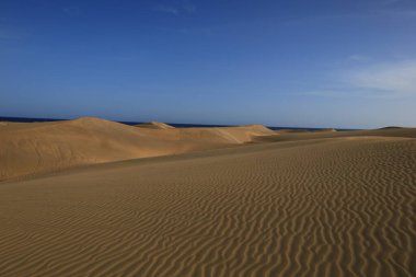 Maspalomas Kum tepeleri, Kanarya Adaları 'nda, Las Palmas Eyaleti' nin Gran Kanarya Adası 'nın güney kıyısında yer alan kum tepeleridir.