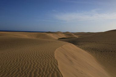 Maspalomas Kum tepeleri, Kanarya Adaları 'nda, Las Palmas Eyaleti' nin Gran Kanarya Adası 'nın güney kıyısında yer alan kum tepeleridir.