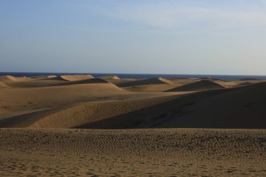 Maspalomas Kum tepeleri, Kanarya Adaları 'nda, Las Palmas Eyaleti' nin Gran Kanarya Adası 'nın güney kıyısında yer alan kum tepeleridir.