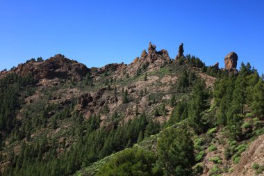 Nublo kırsal parkı Gran Kanarya adasının en büyük doğal koruma alanıdır ve Kanarya Adaları 'nın en büyük ve en kalabalık yerlerinden biridir.