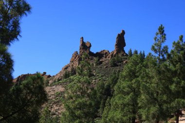 Nublo kırsal parkı Gran Kanarya adasının en büyük doğal koruma alanıdır ve Kanarya Adaları 'nın en büyük ve en kalabalık yerlerinden biridir.