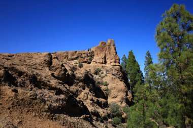 Nublo kırsal parkı Gran Kanarya adasının en büyük doğal koruma alanıdır ve Kanarya Adaları 'nın en büyük ve en kalabalık yerlerinden biridir.