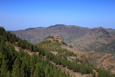 Nublo kırsal parkı Gran Kanarya adasının en büyük doğal koruma alanıdır ve Kanarya Adaları 'nın en büyük ve en kalabalık yerlerinden biridir.