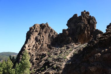 Nublo kırsal parkı Gran Kanarya adasının en büyük doğal koruma alanıdır ve Kanarya Adaları 'nın en büyük ve en kalabalık yerlerinden biridir.
