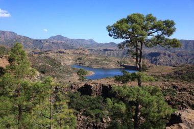Nublo kırsal parkı Gran Kanarya adasının en büyük doğal koruma alanıdır ve Kanarya Adaları 'nın en büyük ve en kalabalık yerlerinden biridir.