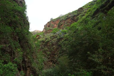 Anaga Kırsal Parkı, Tenerife adasının Anaga Massif bölgesinde korunan doğal bir alandır.