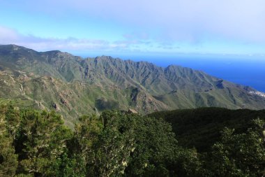 Anaga Kırsal Parkı, Tenerife adasının Anaga Massif bölgesinde korunan doğal bir alandır.