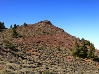 Teide Ulusal Parkı, İspanya 'nın Kanarya Adaları' nın Tenerife kentinde bulunan ulusal park.