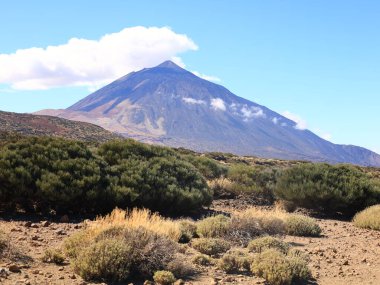 Teide Ulusal Parkı, İspanya 'nın Kanarya Adaları' nın Tenerife kentinde bulunan ulusal park.