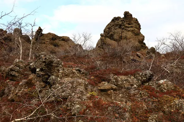 Dimmuborgir, İzlanda 'da Myvatn' ın doğusunda olağandışı şekilli lav tarlalarının oluşturduğu geniş bir alan..